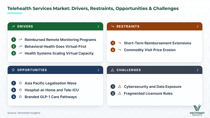 Telehealth Services market drivers, restraints, opportunities and challenges Telehealth Services market drivers, restraints, opportunities and challenges | Vectomat Insights
